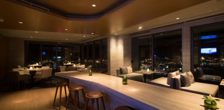 premier-executive-lounge-2