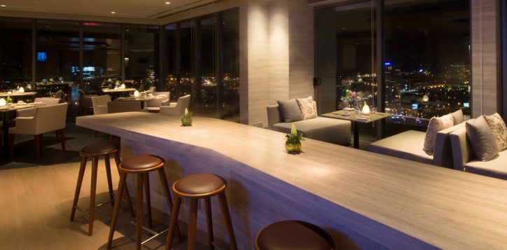 premier-executive-lounge2-2