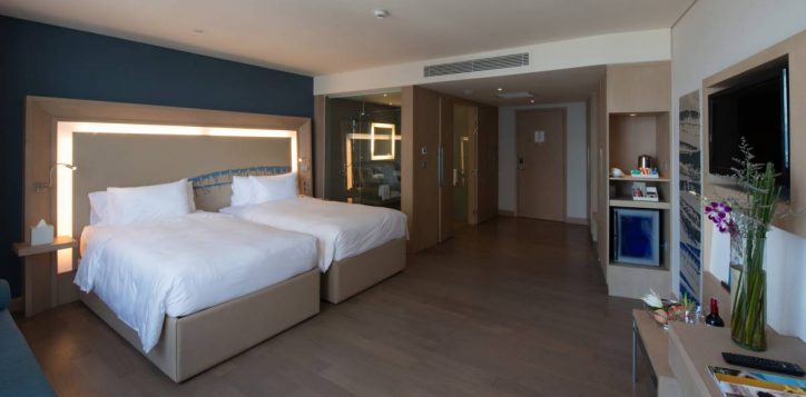 room-_-suite-section-deluxe-twin-2-2-2