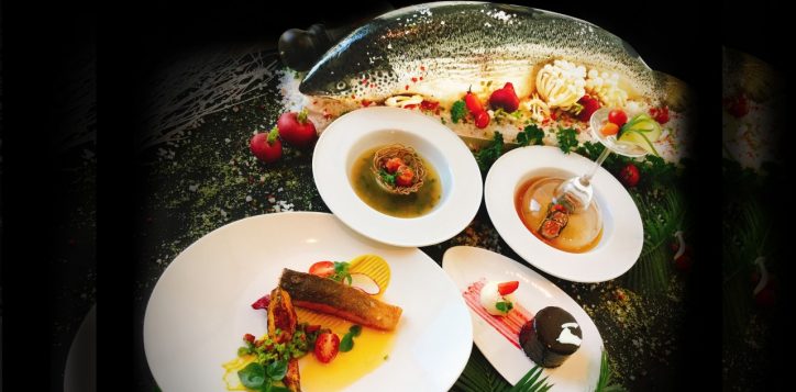 feature-image-salmon-web-2