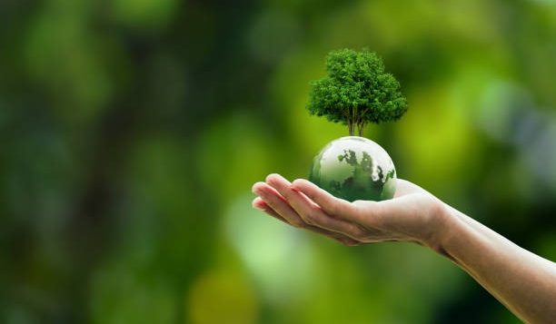 sustainability-commitment-novotel-danang-2-2