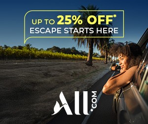 website-banner_25publicsale_girl-in-car_300x250_en-with-text-2